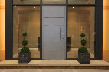 Entrada da porta de metal para a casa (mais de 175 fotos): Da seleção à decoração