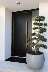 Entrada da porta de metal para a casa (mais de 175 fotos): Da seleção à decoração