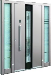 Entrada da porta de metal para a casa (mais de 175 fotos): Da seleção à decoração