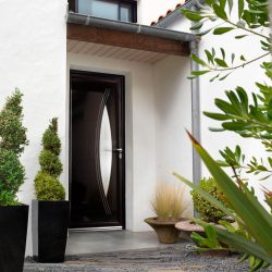 Entrada da porta de metal para a casa (mais de 175 fotos): Da seleção à decoração