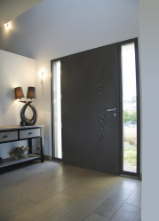 Entrada da porta de metal para a casa (mais de 175 fotos): Da seleção à decoração