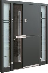 Entrada da porta de metal para a casa (mais de 175 fotos): Da seleção à decoração