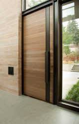 Entrada da porta de metal para a casa (mais de 175 fotos): Da seleção à decoração