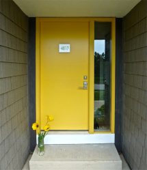 Entrada da porta de metal para a casa (mais de 175 fotos): Da seleção à decoração