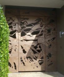 Entrada da porta de metal para a casa (mais de 175 fotos): Da seleção à decoração