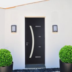 Entrada da porta de metal para a casa (mais de 175 fotos): Da seleção à decoração