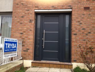 Entrada da porta de metal para a casa (mais de 175 fotos): Da seleção à decoração