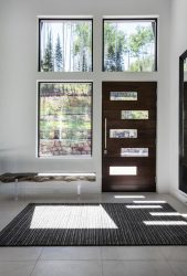 Entrada da porta de metal para a casa (mais de 175 fotos): Da seleção à decoração