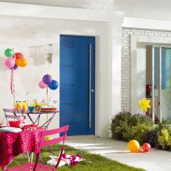Entrada da porta de metal para a casa (mais de 175 fotos): Da seleção à decoração