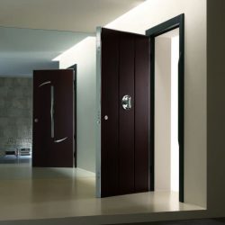 Entrada da porta de metal para a casa (mais de 175 fotos): Da seleção à decoração