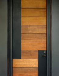 Entrada da porta de metal para a casa (mais de 175 fotos): Da seleção à decoração