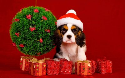 Brinquedos DIY para o Ano Novo 2018 - Ano do Cachorro (245+ Fotos)