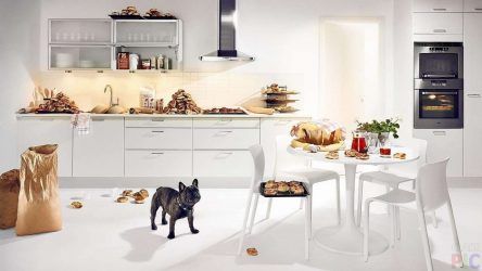 Papel de parede moderno para a cozinha (240 + Foto): Catálogo de idéias