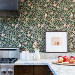 Papel de parede moderno para a cozinha (240 + Foto): Catálogo de idéias
