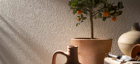 Papel de parede moderno para a cozinha (240 + Foto): Catálogo de idéias
