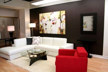 Papéis de parede bonitos na sala de estar: mais de 150 fotos de interiores. Idéias modernas de combinar