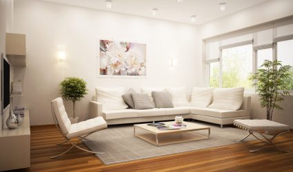 Papéis de parede bonitos na sala de estar: mais de 150 fotos de interiores. Idéias modernas de combinar