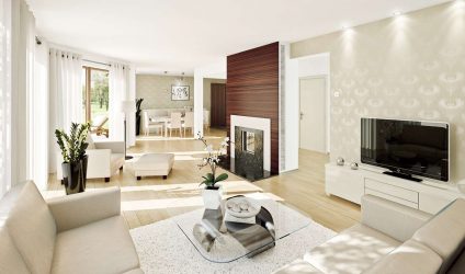 Papéis de parede bonitos na sala de estar: mais de 150 fotos de interiores. Idéias modernas de combinar