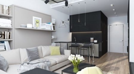 Studio Apartment: Soluções de estilo com elementos decorativos. 205+ Idéias Fotográficas de interior moderno