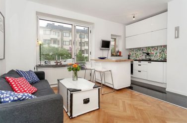 Studio Apartment: Soluções de estilo com elementos decorativos. 205+ Idéias Fotográficas de interior moderno