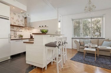 Studio Apartment: Soluções de estilo com elementos decorativos. 205+ Idéias Fotográficas de interior moderno