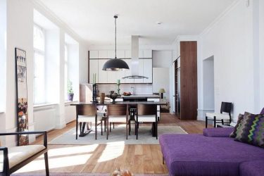 Studio Apartment: Soluções de estilo com elementos decorativos. 205+ Idéias Fotográficas de interior moderno
