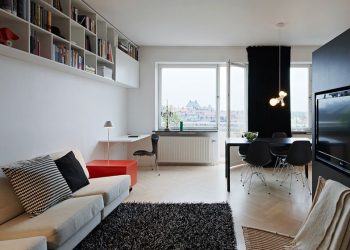 Studio Apartment: Soluções de estilo com elementos decorativos. 205+ Idéias Fotográficas de interior moderno
