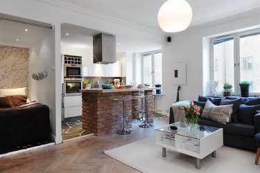 Studio Apartment: Soluções de estilo com elementos decorativos. 205+ Idéias Fotográficas de interior moderno