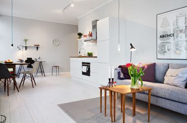 Studio Apartment: Soluções de estilo com elementos decorativos. 205+ Idéias Fotográficas de interior moderno