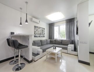 Studio Apartment: Soluções de estilo com elementos decorativos. 205+ Idéias Fotográficas de interior moderno