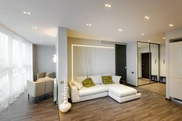 Studio Apartment: Soluções de estilo com elementos decorativos. 205+ Idéias Fotográficas de interior moderno