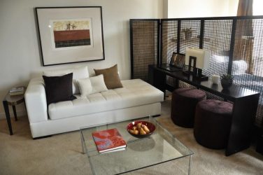 Studio Apartment: Soluções de estilo com elementos decorativos. 205+ Idéias Fotográficas de interior moderno