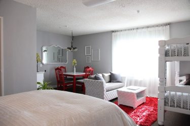 Studio Apartment: Soluções de estilo com elementos decorativos. 205+ Idéias Fotográficas de interior moderno