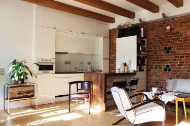 Studio Apartment: Soluções de estilo com elementos decorativos. 205+ Idéias Fotográficas de interior moderno