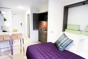Studio Apartment: Soluções de estilo com elementos decorativos. 205+ Idéias Fotográficas de interior moderno