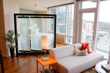 Studio Apartment: Soluções de estilo com elementos decorativos. 205+ Idéias Fotográficas de interior moderno