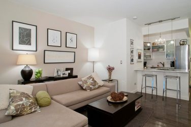 Studio Apartment: Soluções de estilo com elementos decorativos. 205+ Idéias Fotográficas de interior moderno