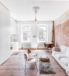 Studio Apartment: Soluções de estilo com elementos decorativos. 205+ Idéias Fotográficas de interior moderno