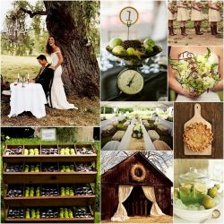 Fazendo um salão para um casamento memorável As mãos (mais de 210 fotos) De uma vez por todas!