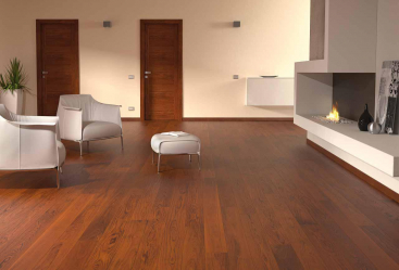 Como usar o parquet no interior? Como escolher? 305+ (fotos) de desenhos espetaculares (arte, espinha de peixe, modular)