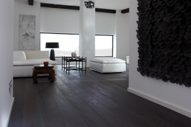 Como usar o parquet no interior? Como escolher? 305+ (fotos) de desenhos espetaculares (arte, espinha de peixe, modular)