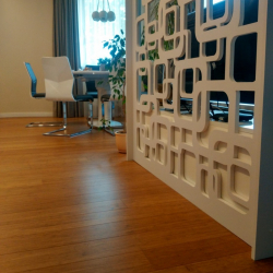 Como usar o parquet no interior? Como escolher? 305+ (fotos) de desenhos espetaculares (arte, espinha de peixe, modular)