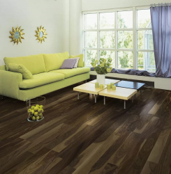 Como usar o parquet no interior? Como escolher? 305+ (fotos) de desenhos espetaculares (arte, espinha de peixe, modular)
