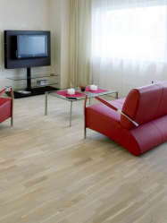 Como usar o parquet no interior? Como escolher? 305+ (fotos) de desenhos espetaculares (arte, espinha de peixe, modular)