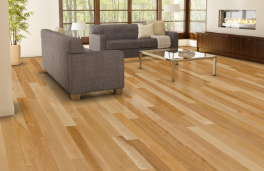 Como usar o parquet no interior? Como escolher? 305+ (fotos) de desenhos espetaculares (arte, espinha de peixe, modular)
