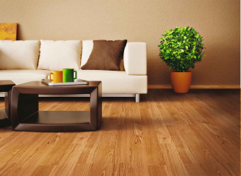 Como usar o parquet no interior? Como escolher? 305+ (fotos) de desenhos espetaculares (arte, espinha de peixe, modular)