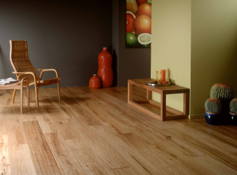 Como usar o parquet no interior? Como escolher? 305+ (fotos) de desenhos espetaculares (arte, espinha de peixe, modular)