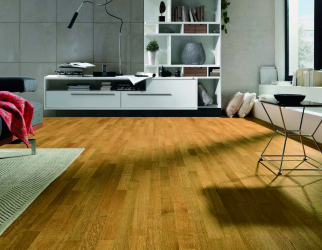 Como usar o parquet no interior? Como escolher? 305+ (fotos) de desenhos espetaculares (arte, espinha de peixe, modular)