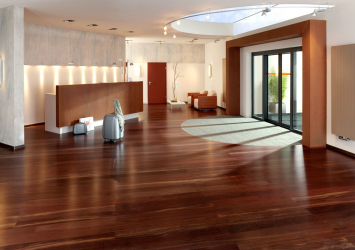 Como usar o parquet no interior? Como escolher? 305+ (fotos) de desenhos espetaculares (arte, espinha de peixe, modular)