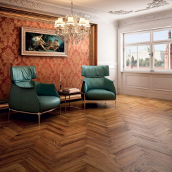 Como usar o parquet no interior? Como escolher? 305+ (fotos) de desenhos espetaculares (arte, espinha de peixe, modular)